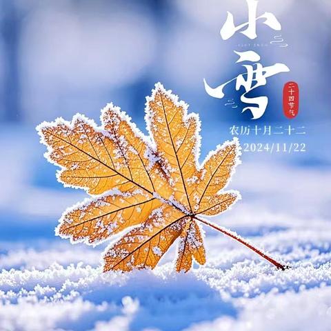 岁至小雪，天地苍茫——淮安市洪泽第二实验小学四6中队小雪节气劳动实践作业