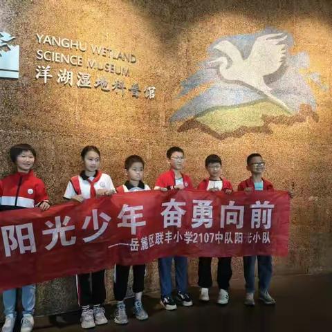 联丰小学2107中队阳光小队寻春活动纪实