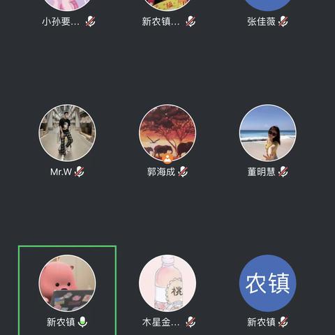 新农镇召开“五经普”工作调度会暨安全生产工作推进会