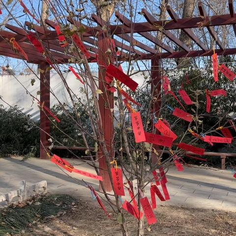 弘扬传统文化 感受浓情腊八——张寨镇中心幼儿园腊八节主题活动