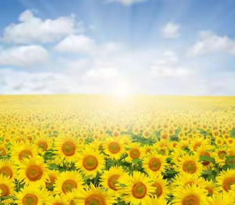 砥砺前行析得失，凝心聚力促提升 ——佛子镇中心校2025年秋季学期 期中教学教研工作总结会