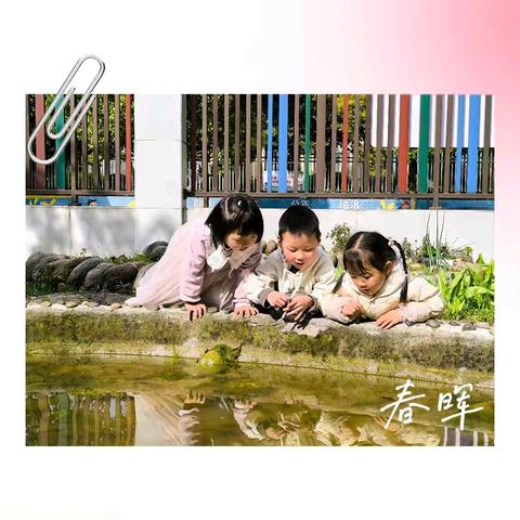 遇见春天 定格春光🌿 ——小二班第七周周记