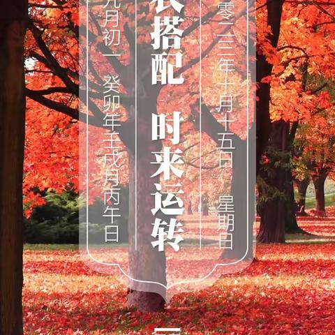 10月15日穿衣搭配