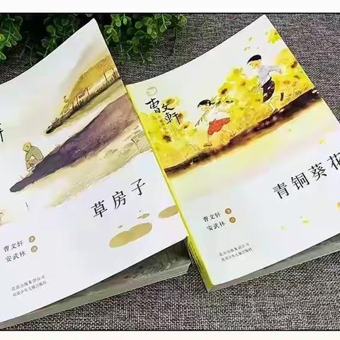 苦痛，成长前行中的一朵花 ——五年级（2）班师生共读《青铜葵花》《草房子》系列活动