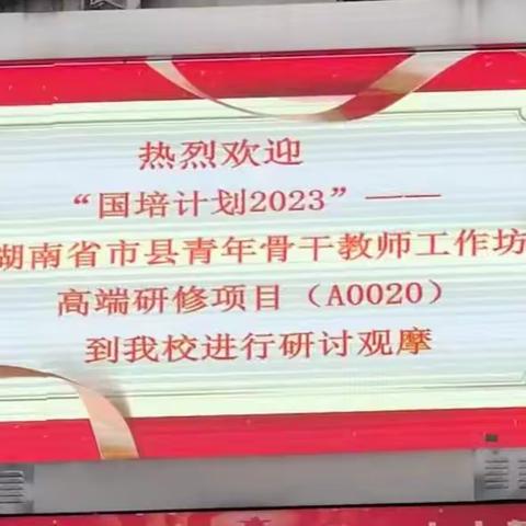 国培领航，“研”续华章——“国培计划（2023）”湖南省市县青年骨干教师工作坊高端研修项目初中语文（A0020-1）第五天活动纪实