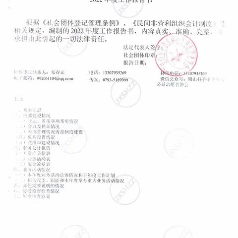 2022年手牵手爱心公益志愿者协会年度工作报告书