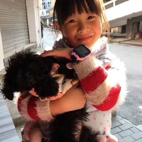 与时俱进，共创辉煌——上饶市第八小学五二中队刘娅琪
