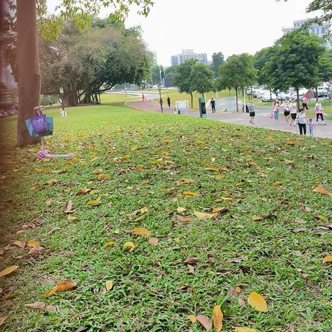 书香润童年，阅读绘人生——深圳市宝安区石岩宝石幼儿园大四班