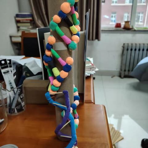 优秀生物模型展评