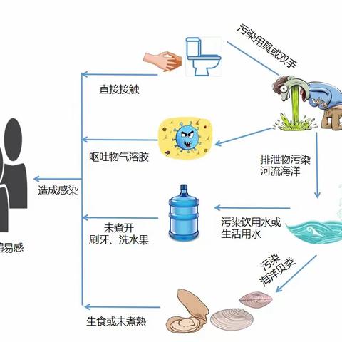 金百灵幼儿园预防冬春季呼吸道传染病宣传知识