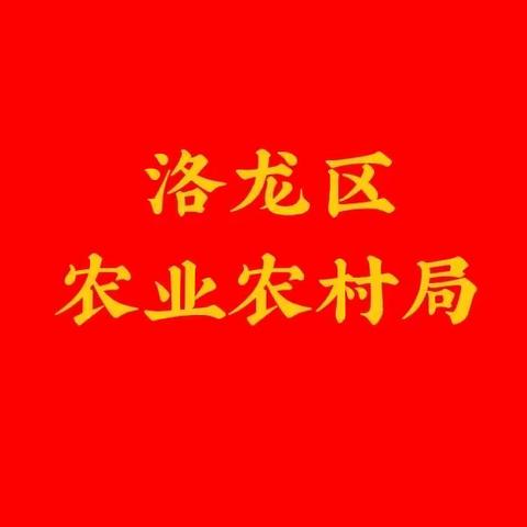 洛龙区：信息化赋能农村人居环境整治工作