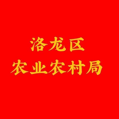 督导检查促提升，环境整治显成效