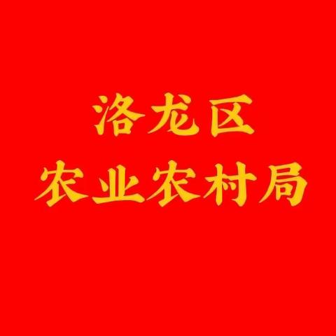 洛龙区：“三夏”生产不放松   环境整治不停歇