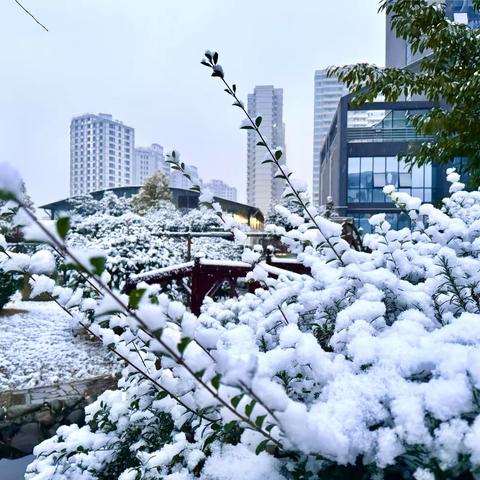 趣玩雪❄️享童心🩵