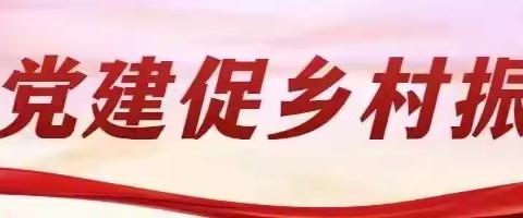 工业园区开展抓党建促乡村振兴“擂台比武”活动