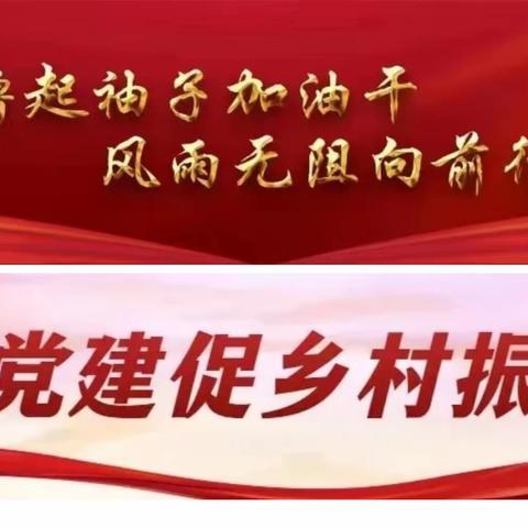 抓实农村党建    促进乡村振兴——工业园区开展第三期乡村振兴党旗红“擂台比武”活动