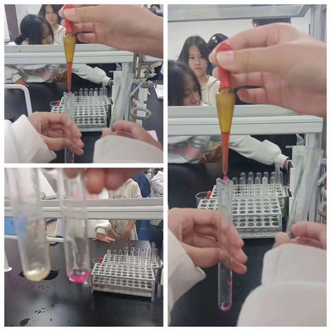 烷烃，烯烃与酸性高锰酸钾的反应实验