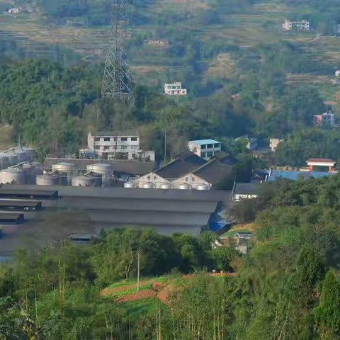 康庆坊酒厂与彭茵调酒师团队介绍