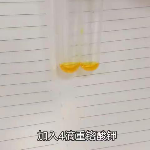 乙醇的氧化反应