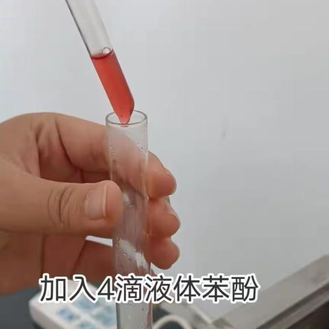 酚的性质