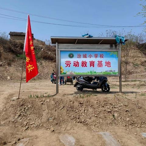 依托劳动基地 厚植劳动情怀——汾城小学校劳动实践基地“植”得期待！