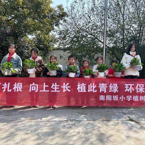 “植”此青绿 环保同行——蓼南南阳坂小学开展植树节系列活动