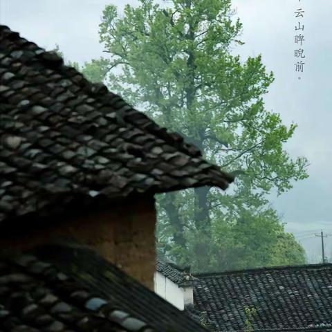 细雨踏春来 思怀古人时