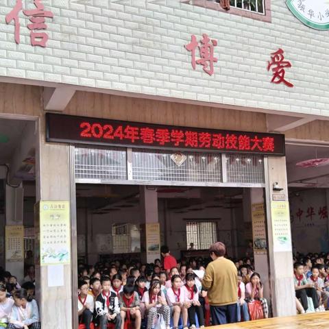 劳动砺心智 实践助成长一一2024年春季学期振华小学劳动技能大赛