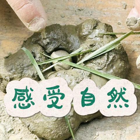 5月精彩活动瞬间（户外自主游戏）