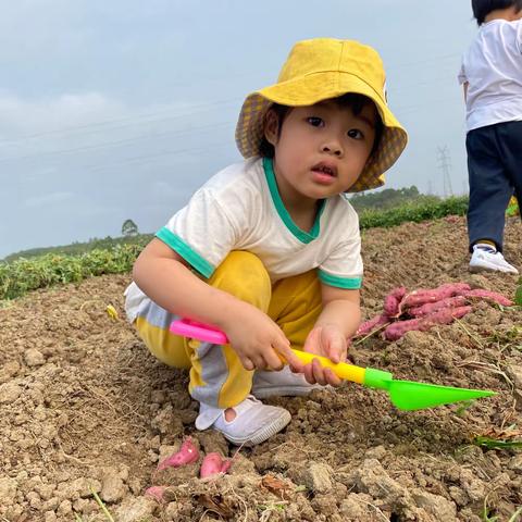 鸿文幼儿园2022年春季苹果班学期总评