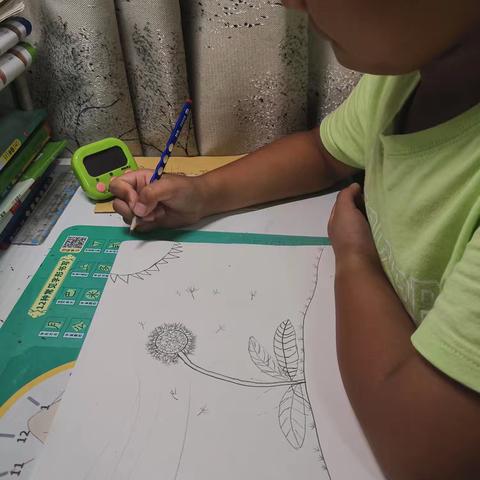 三3️⃣班邓多皓《设计一粒种子》