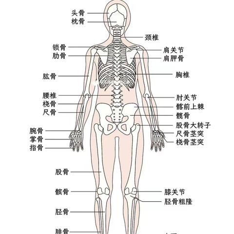 三3️⃣班邓多皓《大手，大脚》