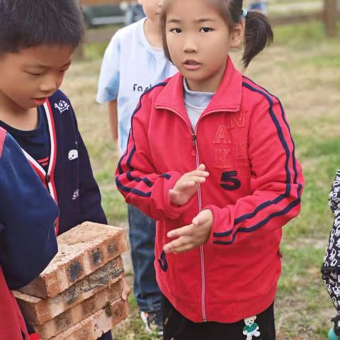 秋日里的协作与欢笑——学校秋游活动纪实