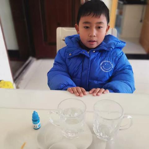 三3️⃣班 邓多皓《水的热对流现象》