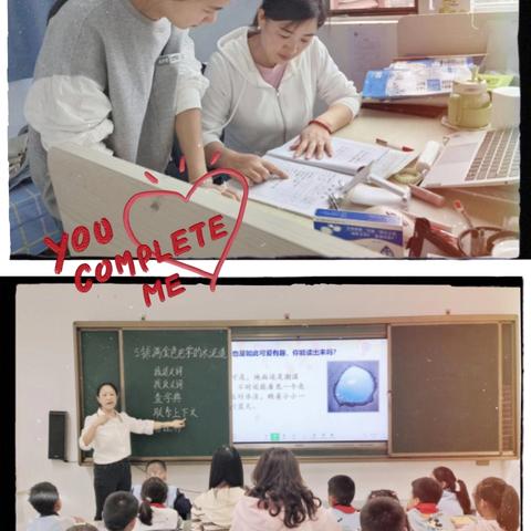 青春芳华耀讲台 砥砺深耕竞成长 ‍——柳宗元小学青年教师课堂大赛 ‍ ‍ ‍ ‍
