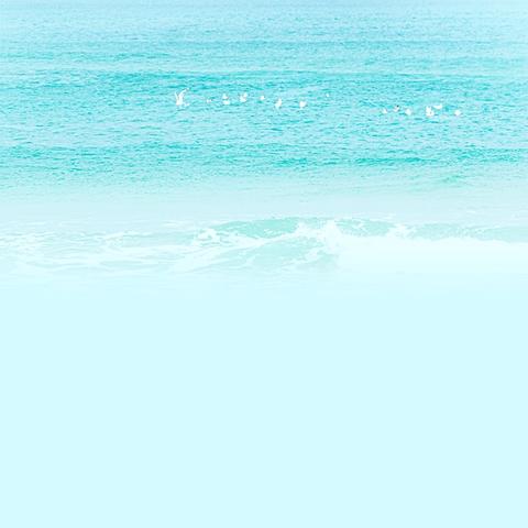 联盟聚力启新 科研促教共赢 ——龙浔片区幼儿园课题研究成果分享交流活动