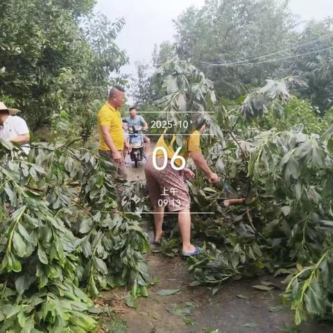 雅德村委会驻村工作队和村二委干部台风过后齐上阵 全力恢复村庄道路畅通