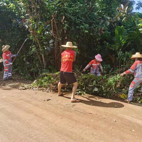 龙榜村委会开展迎接“净美绿”中期评估和美乡村环境整治活动