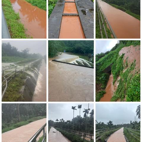 闻“汛”而动，迎战强降雨