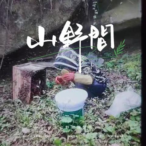 天然蜂蜜限时抢！一口尝尽山野甜！