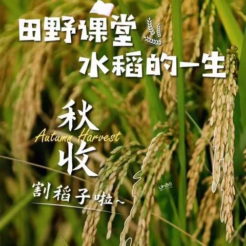 品优托管中心秋季研学游—很高兴遇“稻”你