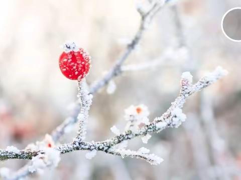 雪花