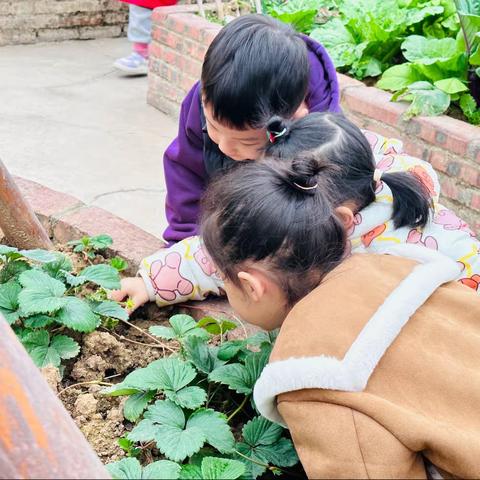 “蜗牛奇遇记”——凤溪幼儿园小一班