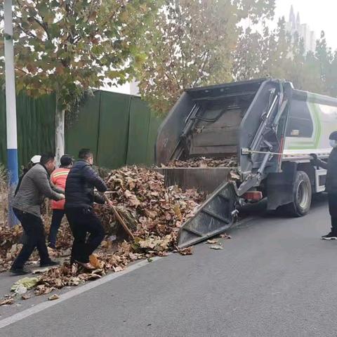 积极应对大风天气，进行树叶清运工作