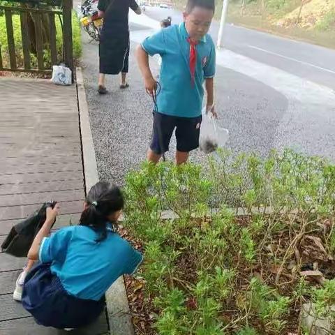 保护环境，人人有责