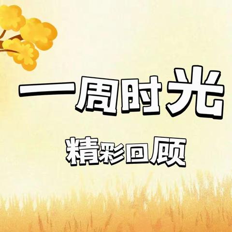 【周纪实】“红帆·幼时光”垦利区康居幼儿园10月第三周纪实