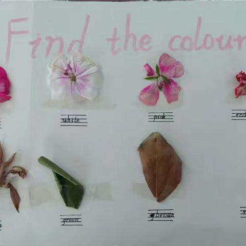 踏青寻春趣，英语伴我行——灵山镇中心学校北校区周末踏青特色作业展