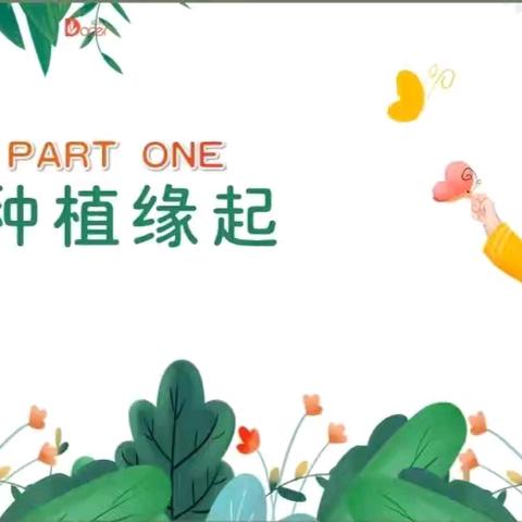 中班年级课程—去种植吧！