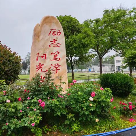 教学新范式 竞研共成长 ——麻城市第十二小学教联体“减负提质”中段综合研究课（李胜赛区）
