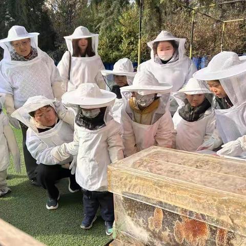 航天基地开展青少年探秘蜜蜂文化科普馆研学活动